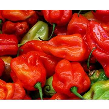 Pepper Perfection: Must-Have Sweet Pepper Products for Every Meal