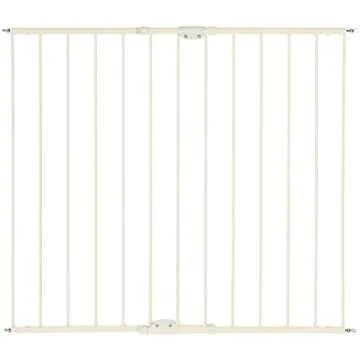 Plus Size Parents Needs