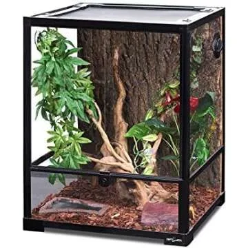 Green Anole Supplies