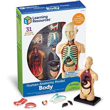 Human Body - Learning Resources