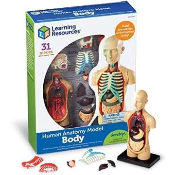 Human Body - Learning Resources