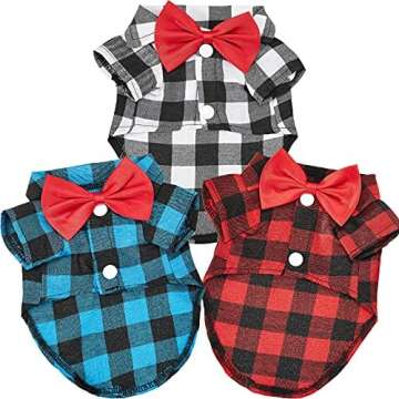 Fashionable Clothes & Accessories