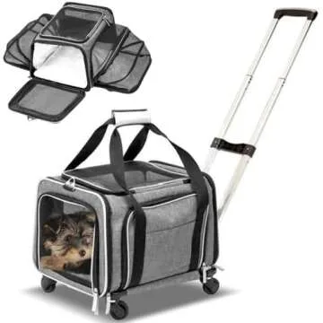 Chewbacca and Lilith Shih | Dog Things