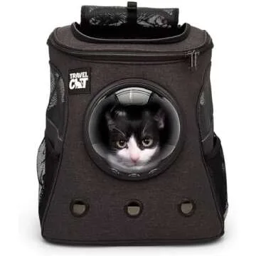 AFO's FAVORITE CAT ITEMS