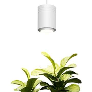 Artificial Lighting for Plants