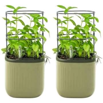 Porch Garden Favorites