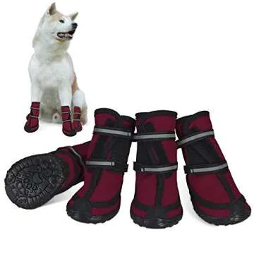Best Water Shoes For Dogs