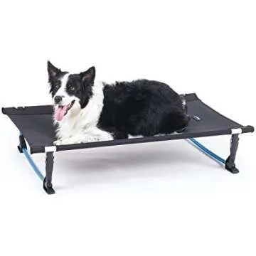 Big Dog in Small Home Tips