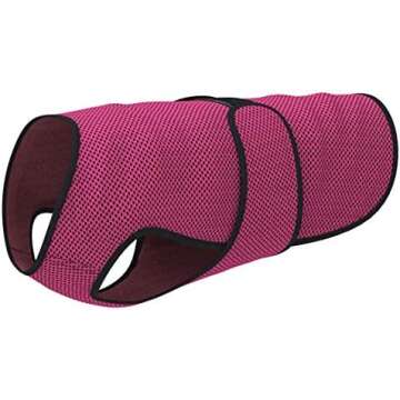 Random Dog Pet Products We Love