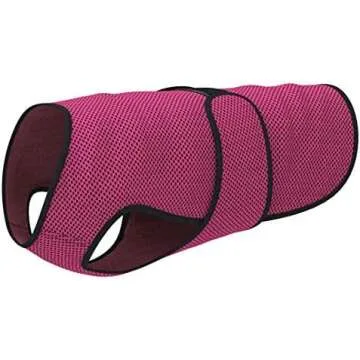 Random Dog Pet Products We Love