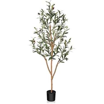 Treatment Room Essentials