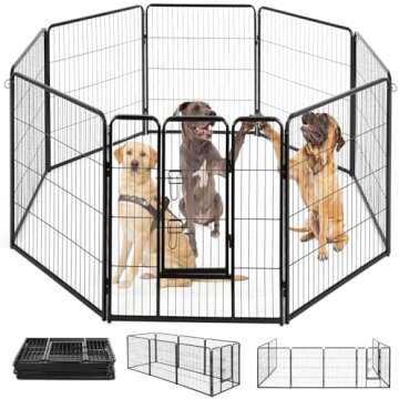 RV-Friendly Must-Haves for Pets