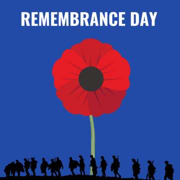 Memorial Moments: Remembrance Day Gift Guide 🌹