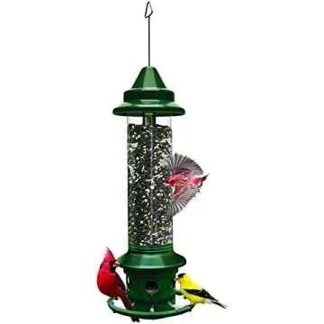 Bird Feeders & Accessories
