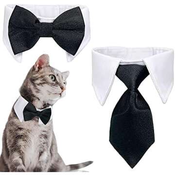 Items I recommend if you have cats