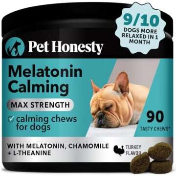 Road trip essentials