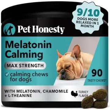 Road trip essentials