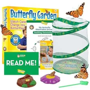 Fun Activities for Kids