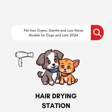 Pet Hair Dryers: Gentle and Low-Noise Models for Dogs and cats 2024