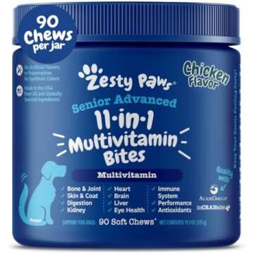 Accesorios Perros y Gatos