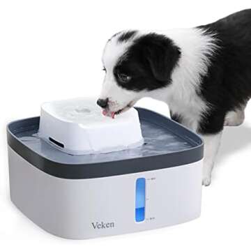 Random Stuff You've Seen