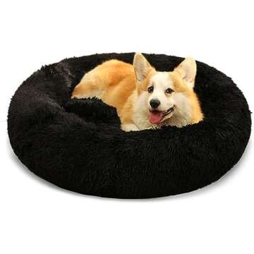 Pets & Furry Friends