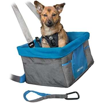 🚙 Car Organizing and Cleaning Favorites!