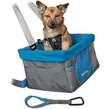 🚙 Car Organizing and Cleaning Favorites!