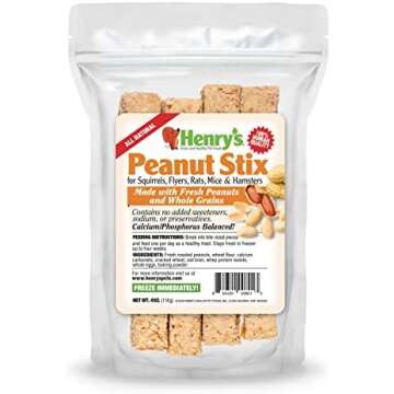 Nutritional Food for Squirrels