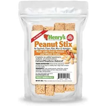 Nutritional Food for Squirrels