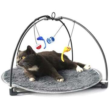 Cat and Kitten Toys 😻