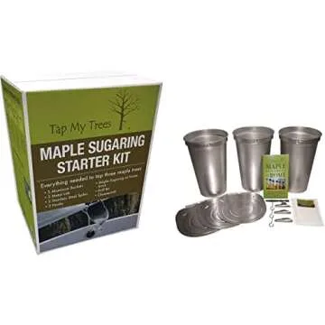 Maple Tapping