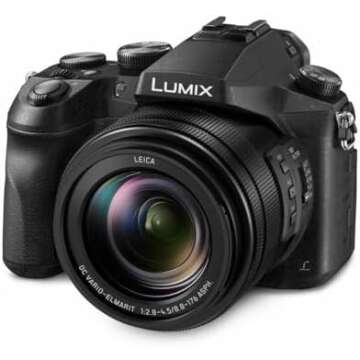 Best Compact and Bridge Cameras