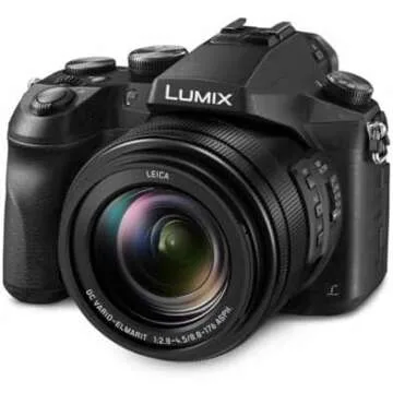 Best Compact and Bridge Cameras