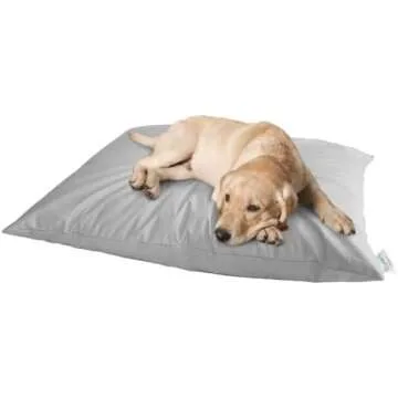 The Best Holistic Dog Toys & Products