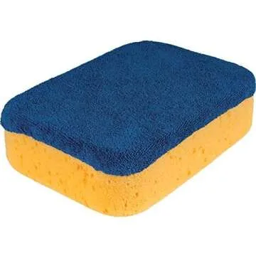 Sponges