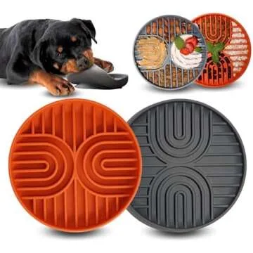 Interactive Feeding Solutions for Dogs