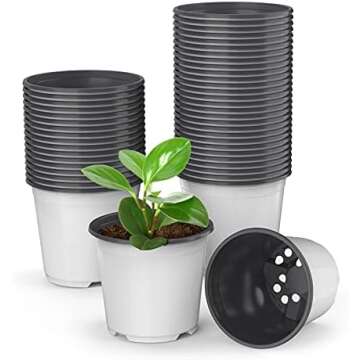 Seeds (for planting) -Granadilla