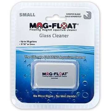 Betta Aquarium Maintenance