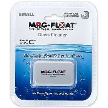 Betta Aquarium Maintenance