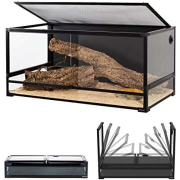 Stuff I use for my beardie🦎