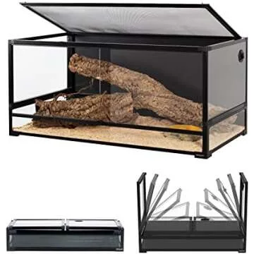 Stuff I use for my beardie🦎
