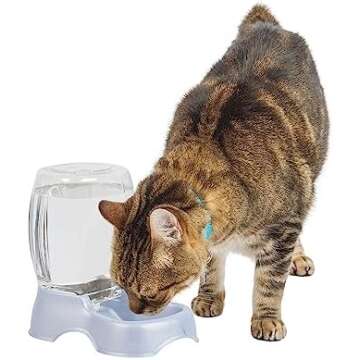 For My Dog Lover Friends