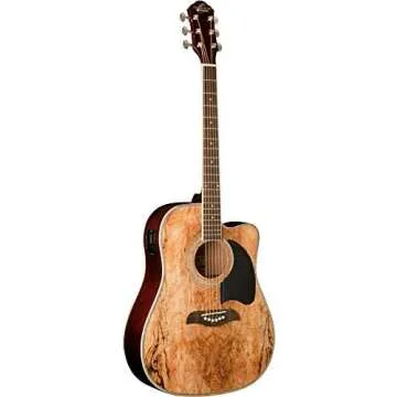 Acoustic Electric Guitar