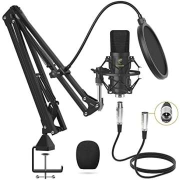 Best Budget Studio for Under $150