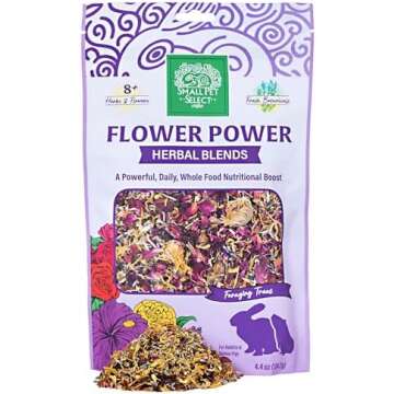 Pet Bunny Essentials