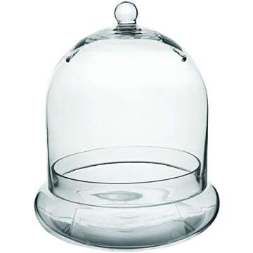 Terrariums and cloches