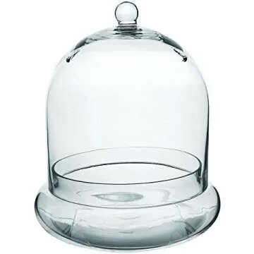 Terrariums and cloches