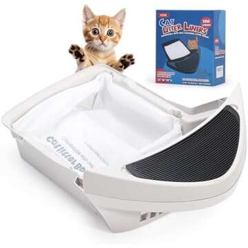 New Kitten Cat Must haves