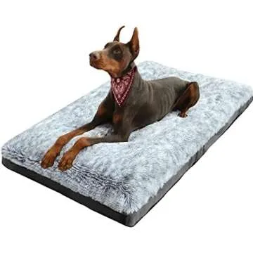 Dog Beds and Blankets